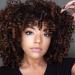 Curly Wigs for Black Women - Premium Curly Afro Wig, Short Synthetic Kinky Curly Wig with Bangs(Mixed Brown #2/33)