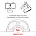 NAMSAN Dog Goggle | UV Protection Sunglasses for Middle/Large Dogs | Waterproof & Windproof | Adjustable (Black) - Buy Online on GoSupps.com