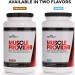 Beverly International Muscle Provider - 30 Servings Chocolate Protein Powder | Fast Absorbing Whey for Lean Muscle & Recovery | Tastes Like Ice Cream - Buy Online on GoSupps.com