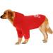 Amaone Waterproof Dog Coat - Winter Warm Jacket for Puppies & Small Dogs | Fleece Hoodie with Bag - Perfect for Autumn & Winter - Buy Online on GoSupps.com