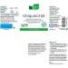 Nicapur Ubiquinol - Easy Absorb Coenzyme Q10 | 60 Capsules for Optimal Cell Energy - Buy Online on GoSupps.com