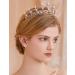 JWICOS Gold Crystal Queen Crown - Elegant Pearl Tiara for Wedding, Prom & Parties - Buy Online on GoSupps.com