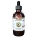 Jie Geng Alcohol-Free Liquid Extract Jie Geng Platycodon (Platycodon Grandiflorus) Root Glycerite Hawaii Pharm Natural Herbal Supplement 2 oz 2 Fl Oz (Pack of 1)
