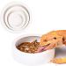 Reptile Food Water Dish Worm Bowl Mealworm Feed Feeder Mini Reptile Food Bowl Ceramics Made (L) - Buy Online on GoSupps.com