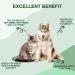 Green Lipped Mussel for Dogs and Cats | Cat and Dog Joint Supplements to Reduce Stiffness and Improve Mobility with Turmeric Glucosamine Chondroitin MSM Curcumin | Cat Dog Joint Care (TUB OF POWDER) - Buy Online on GoSupps.com