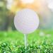 Pokiiulk Foam Golf Practice Balls - 40 Pcs Set for Backyard Training - Realistic Feel and Limited Flight - Multicolor - Buy Online on GoSupps.com