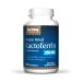 Jarrow Formulas Lactoferrin 250 mg 60 Capsules