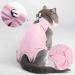 Easy Joy Recovery Suit for Cats | Postoperative Litter Clothing for Abdominal Wounds & Skin Diseases | Soft Indoor Pet Apparel (Small Pink) - Buy Online on GoSupps.com