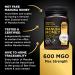 Manuka Gold 600 MGO Manuka Honey | Premium Quality 500g Jar - Buy Online - Buy Online on GoSupps.com