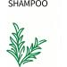 Jowyh Shampoo for dry hair 250 ml shampoo with oil control refreshing cleansing and scalp care for women for women and men with cleansing and purifying action - Buy Online on GoSupps.com
