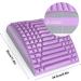 Align Neck and Back Extensor Neubleben - 2 in 1 Back Massage Device & Neck Stretcher for Pain Relief - Back Trainer & Stretch Device in Violet - Buy Online on GoSupps.com