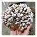 Decorative Ornaments Natural Rough Crystalline Crystal Stone Zeolite Quartz Apophyllite Raw Rock Decorations Specimens (Size : 1.0-1.15kg)