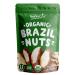 Organic Dry Roasted Brazil Nuts with Himalayan Salt, 1 Pound  Non-GMO, Oven Roasted, Lightly Salted, No Oil Added, Whole. Vegan, Kosher, Bulk. High in Protein and Selenium. Keto-Friendly Snack 1 Pound (Pack of 1)