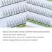 V-Shaped Bottom Eyelashes - Black Soft False Lashes J Curl 5-7mm 0.07mm Thickness - Individual Extensions (Pack of 1 - Buy Online on GoSupps.com