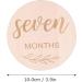 Joy Depot 12-Piece Baby Monthly Wooden Cards and Discs Set for Newborns | Double-Sided Milestone Photo Props | Baby Shower Gift | 0-12 Months Growth Recording - Buy Online on GoSupps.com