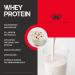Mammut Nutrition Whey Protein Strawberry Cheesecake with Chocolate Chips - 3000g Protein Shake for Optimal Health - International Shipping Available - Buy Online on GoSupps.com