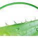 Qukaim Skin Care Aloe Vera Gel Aloe Vera Gel Hydrating Soothing Cream 10.6oz for Home Beauty Salon - Buy Online on GoSupps.com