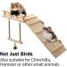 Vogel Parrot Swing & Vibrant Pencil Rods for Hamsters Birds and Exotic Pets - Wooden Climbing Platforms & Toys for Parrots Chinchillas and Budgies - Buy Online on GoSupps.com