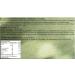 Horsetail Herb Premium Natural Herbal Tea Equiseti Herba 25 Tea Bags - Buy Online on GoSupps.com