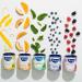 Tetley Summerberries Herbal Tea with Rosehip - 20 Tea Bags 40 Grams Naturally Caffeine Free SummerBerriesHerbalTea - Buy Online on GoSupps.com
