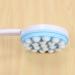 Pizarra Lotion Applicator: Long Handled Back and Leg Massage Tool - Buy Online on GoSupps.com