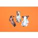 Suck UK Dog Nail File | Dog Shaped Buffering Gift | Nail Filer | Emery Board Accessories | 3 Different Dog Breed Designs | Nail File Buffer | Nail Salon Accessories - Buy Online on GoSupps.com