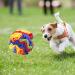 Interactive Snuffle Mat for Dogs - Dog Toy Ball Puzzle Feeding Foraging Mat - Stress Relief & Training for Small to Medium Pets 15cm - Buy Online on GoSupps.com