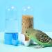 Birds Automatic Water & Feed Dispenser for Parrots & Pigeons - 2 Piece Set (White & Blue) - Ideal for Ornamental Birds - Buy Online on GoSupps.com