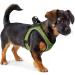 HUNTER HILO COMFORT Harness for Small Dogs | Reflective Mesh Lime | ML Size - Shop Internationally - Buy Online on GoSupps.com
