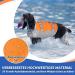 Eyin Life Jackets for Small Dogs | Adjustable Dog Vest with Strong Buoyancy & Reflective Handle | Tear-Resistant Swimming Aid (XS Orange & Gray) - Buy Online on GoSupps.com