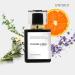 INTOXICATE | Inspired by TF. F. FABULOUS | Pheromone Perfume Cologne for Men and Women | Extrait De Parfum | Long Lasting Dupe Clone | Perfume De Hombre Mujer | (30 ml / 1 Fl Oz) 1 Fl Oz (Pack of 1) - Buy Online on GoSupps.com