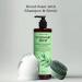 Rosemary & Mint Shampoo 480ml - Nourishing Herbal Cleanser for Healthy Hair | International Shipping - Buy Online on GoSupps.com