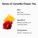 Buy Osulloc Camellia Flower Tea Tropical Fruity Flavors 20 Tea Bags (1.06 oz) | Jeju Premium Tea - Buy Online on GoSupps.com