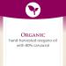 Natural Factors Oil of Oregano 180mg Softgels with Extra Virgin Olive Oil - 30 Servings - Buy Online on GoSupps.com