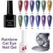 Winter Sparkling Auroras Soak Off Nail Polish Colorful Reflective Glitter Magnetic Gel Holographic Glitter 15ml Rainbow Cat Eye Nail Gel(03) Style03 - Buy Online on GoSupps.com