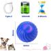 Interactive Cat Toy Ball - LED Light & 360 Self-Rotating - Navy Blue - Stimulation & Fun for Cats - Buy Online on GoSupps.com