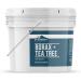 Earthborn Elements Borax with Tea Tree Oil - 1 Gallon Laundry Booster Refreshing Scent Bulk Size (128 oz - Buy Online on GoSupps.com
