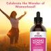 Strauss Heartdrops Women's Wonder Drops - Menstrual & Menopausal Support Supplement Spearmint Flavor Natural Gluten-Free Soy-Free Non-GMO - 3.4oz - Buy Online on GoSupps.com