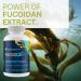 Youngevity FucoidZ - Pure Organic Maritech Fucoidan Extract & Cofactors (Vitamin C Zinc Elderberry + Botanical Blend) - Immune Support - Super Antioxidant - 60 Capsules - Buy Online on GoSupps.com