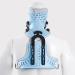 Adjustable Cervical Spine Orthosis & U-Traction Neck Support - Fixed Head Neck & Breast Stitches for Lumbar Support & Arthritis Relief - International Shipping Available - Buy Online on GoSupps.com