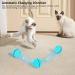 WWVVPET Interactive Cat Toy Ball with LED Light - 360 Self-Rotating USB Rechargeable | Fun Hunting Instinct Stimulation for Cats - Buy Online on GoSupps.com