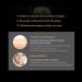 AGE20s Signature Essence Cover Pact (Intense #21) - Buy Internationally | Long-lasting Coverage & Radiance - Buy Online on GoSupps.com