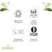 Lipton Black Tea Peach and Mango Taste Vitality Rainforest Alliance Certified 20 Bags - Buy Online on GoSupps.com