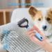 Professional 2 Sided Pet Grooming Brush for Cats & Dogs - Dematting Comb and Undercoat Rake - Buy Online on GoSupps.com