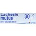 Buy BOIRON Lachesis Mutus 30 C - 80 CT | Homeopathic Remedy for Pain Relief | International Shipping - Buy Online on GoSupps.com