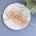 Silver Hair Accessories Bride Wedding Hair Comb Bridal Hair Accessories for Women Flower Rhinestone Headpiece Bridal Pearl Hair Accessories for Girls - Buy Online on GoSupps.com