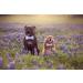 Shop Unique Style Paws Purple Silk Dog Collar - Adjustable & Soft Gift for Small Female Dogs | International Shipping - Buy Online on GoSupps.com