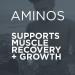 Purbolics Aminos - Muscle Recovery & Growth Support | 4g Amino Acids, Beta-Alanine, 0 Cal, 60 Servings (Blue Steele) - Buy Online on GoSupps.com