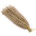 14 Inch Crochet Braids Water Wave Hairpieces Synthetic Wavy 100g Ombre Braiding Hair Weave Crochet Hair Extensions For Women - Ash Blonde - Buy Online on GoSupps.com