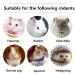 Guinea Pig & Rabbit Chew Toys Combo: Sweet Bamboo & Apple Sticks, Timothy Apple Sticks - 150g Pack | Prevent Overgrown Teeth, Rich in Fruit Acid, Promote Relaxation - Buy Online on GoSupps.com